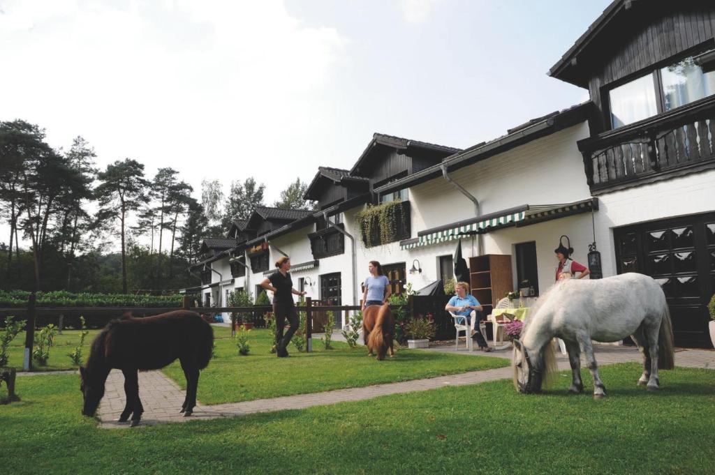 Landhotel Linden Am Venekotensee Niederkruechten Ngoại thất bức ảnh