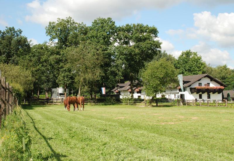 Landhotel Linden Am Venekotensee Niederkruechten Ngoại thất bức ảnh