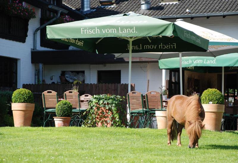 Landhotel Linden Am Venekotensee Niederkruechten Ngoại thất bức ảnh